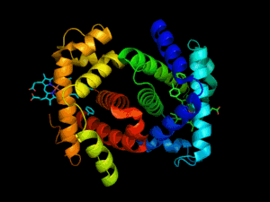 蛋白质结构图片高清图片